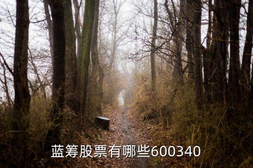 華維電瓷股票有什么，A股小市值股票有哪些謝謝盡力而為列舉