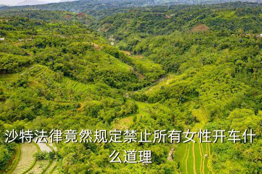 為什么沙特女人不能開車，全球唯一禁止女司機開車的是哪個國家
