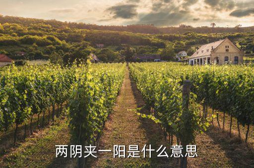 股票兩陰一陽又兩陰什么走勢(shì)，股市技術(shù)圖形兩陰一陽又兩陰后市怎樣
