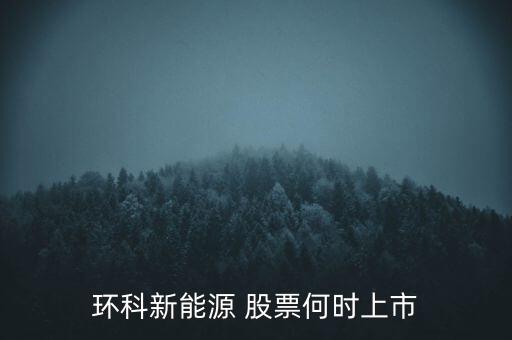 新能源股票什么時候上市呢，環(huán)科新能源 股票何時上市
