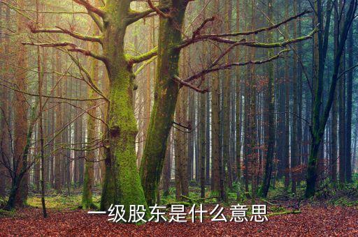 二級股東是什么意思，兩級股權(quán)結(jié)構(gòu)