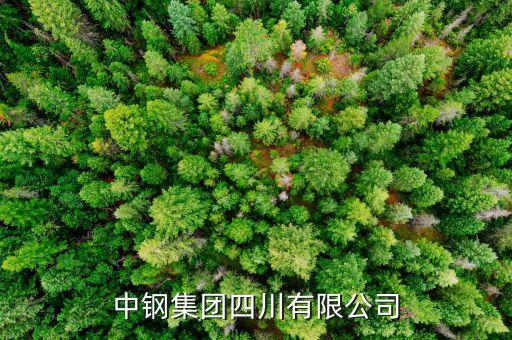 中鋼什么級別，中尉是什么等級