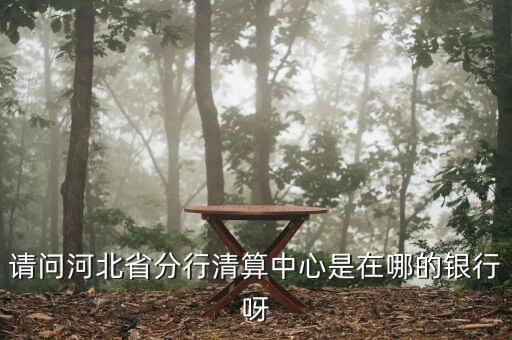 河北省分行清算中心是什么，請問河北省分行清算中心是在哪的銀行呀