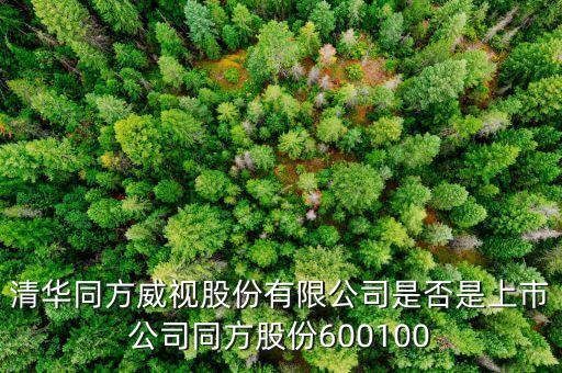 威視股份什么時候上市，威創(chuàng)股份什么時候上市