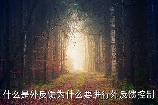 什么是機械外反饋，什么是外反饋為什么要進行外反饋控制