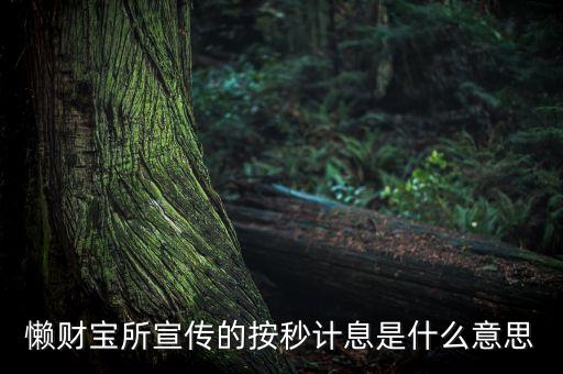 懶財(cái)寶什么時(shí)候計(jì)息，懶財(cái)寶T0計(jì)息什么意思