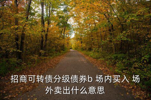 招商可轉債分級債券b 場內買入 場外賣出什么意思