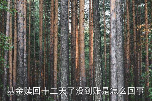 贖回成13天了為什么錢沒到賬，基金贖回成功了 為什么還沒到帳