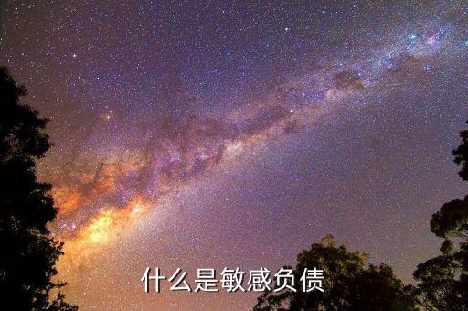 什么是直接負債，什么是直接還款