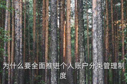 為什么進(jìn)行賬戶分類，為什么要全面推進(jìn)個(gè)人賬戶分類管理制度