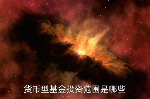 貨幣基金主要投資什么，貨幣型基金投資范圍是哪些