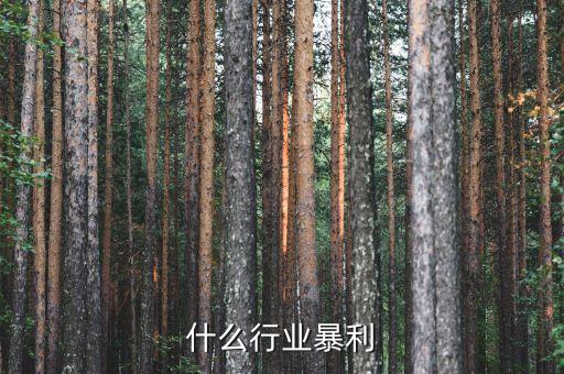 什么行業(yè)暴利，什么行業(yè)暴利
