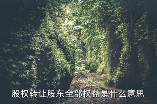 什么是全權(quán)益公司，股權(quán)轉(zhuǎn)讓股東全部權(quán)益是什么意思