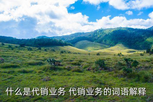 什么是銀行代銷業(yè)務，什么是銀行代銷理財產(chǎn)品