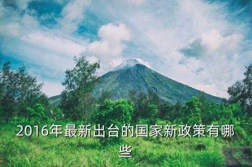 2016年什么新政策，2016年國(guó)家有什么新政策