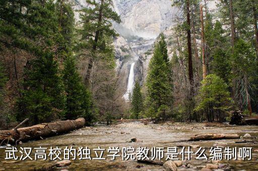 什么是獨立教師，什么是自立學校