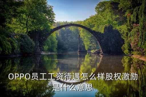 全員持股什么意思，OPPO員工工資待遇怎么樣股權(quán)激勵(lì)是什么意思
