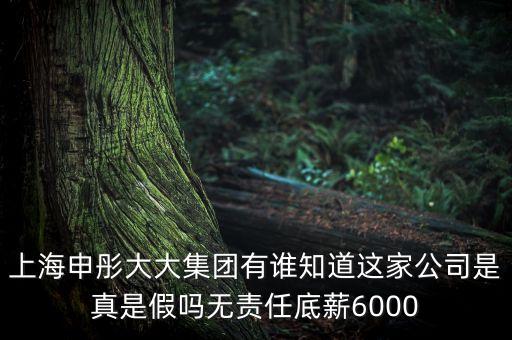 申彤大大集團賺的什么錢發(fā)工資，上海申彤大大集團有誰知道這家公司是真是假嗎無責(zé)任底薪6000