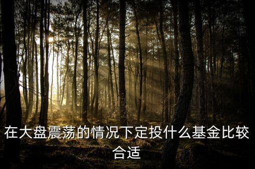 大盤調(diào)整買什么基金好，在大盤震蕩的情況下定投什么基金比較合適