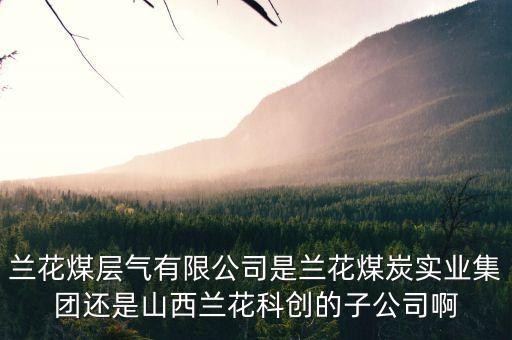 山西蘭花有什么煤層氣公司，山西蘭花煤炭實業(yè)集團有限公司