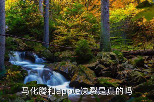 馬化騰為什么不干了，為什么馬化騰做不了中國(guó)第一富
