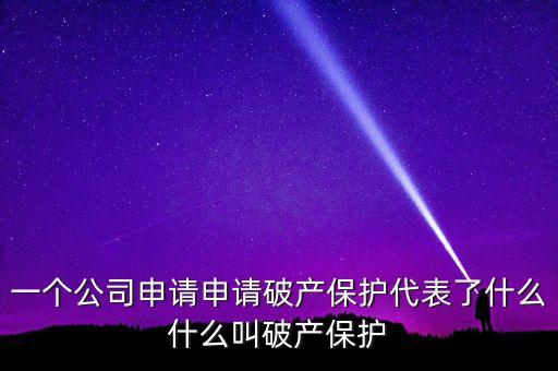 申請破產保護是什么意思，破產保護是什么意思