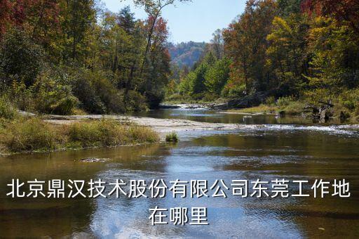 鼎漢技術(shù)主要做什么，北京鼎漢技術(shù)股份有限公司東莞工作地在哪里