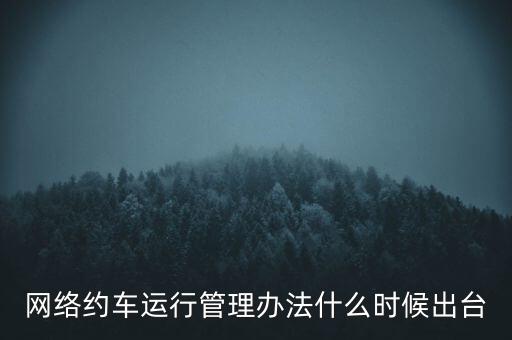 出租車改革什么時候公布，國家對出租車有什么政策改革方案