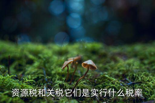 資源稅采用什么稅率，資源稅的計(jì)稅依據(jù)是什么稅率是多少