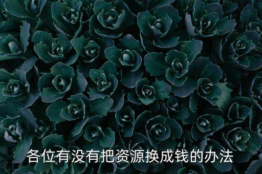 通過什么將資源轉(zhuǎn)化為財富，各位有沒有把資源換成錢的辦法