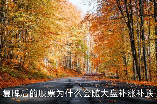 股票復(fù)牌為什么會(huì)補(bǔ)跌，復(fù)牌后的股票為什么會(huì)隨大盤補(bǔ)漲補(bǔ)跌