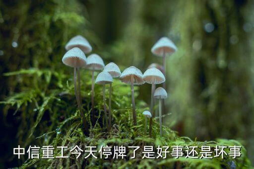 中信重工什么時候復(fù)牌，中信重工今天停牌了是好事還是壞事