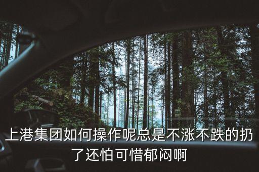 上港集團什么級別，上港集團振東集裝箱碼頭分公司的介紹