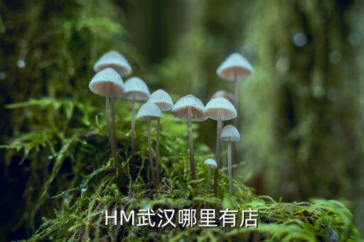 武漢禧h酒店什么時(shí)間開業(yè)，武漢哪里有快開張的酒店