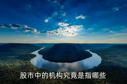股票中的機構(gòu)指什么，股市里的機構(gòu)指的是什么