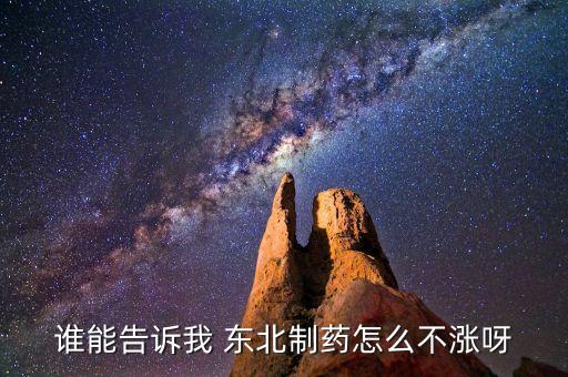 東北制藥為什么不漲，002251為什么不漲是不是公司出問(wèn)題了