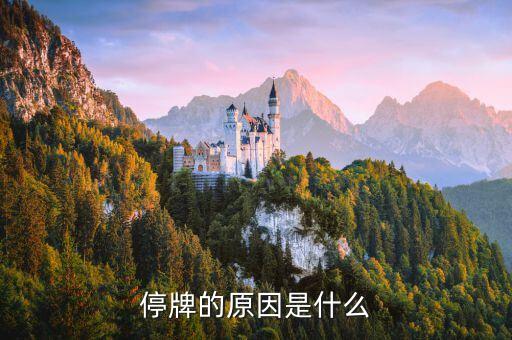 中國(guó)巨石為什么停牌，000009今天為何停牌