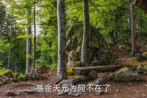 基金天元為什么停牌，基金天元為何不在了