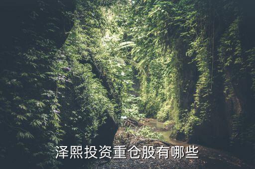 2014年澤熙投資資金介入什么股，請問在哪里能看到澤熙投資參與調研過哪些股票