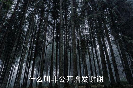 股票非公開(kāi)增發(fā)是什么意思，st股非公開(kāi)增發(fā)啥意思