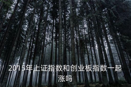 2015年創(chuàng)業(yè)板為什么漲，2015年上證指數(shù)和創(chuàng)業(yè)板指數(shù)一起漲嗎