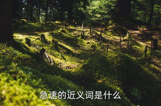 急速的近義詞什么，急速的近義詞