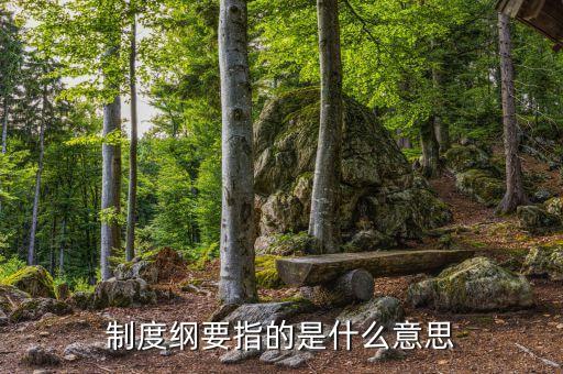 什么是公司綱要，制度綱要指的是什么意思