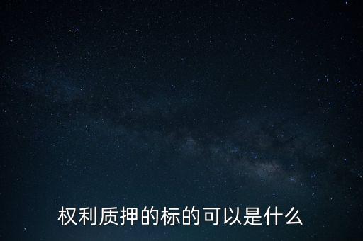 權(quán)利質(zhì)押的標的可以是什么