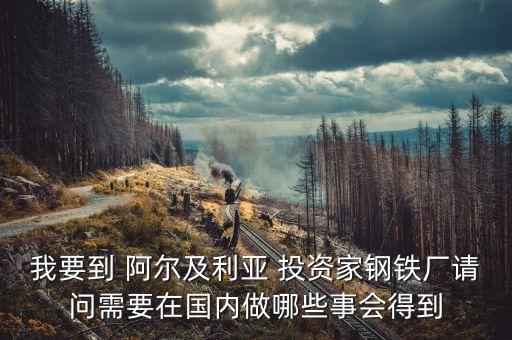 阿爾及爾投資什么好，本人打算去非洲做生意 都需要準(zhǔn)備些什么