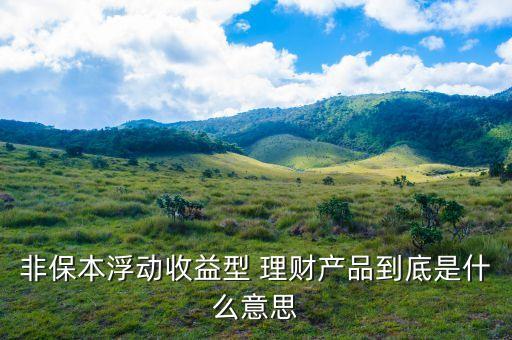 非保本理財(cái)什么意思，理財(cái)產(chǎn)品非保本是什么意思