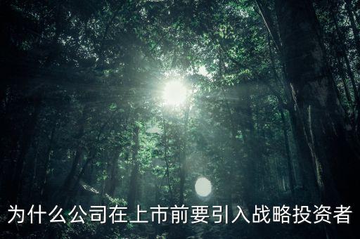 上市為什么要引入風(fēng)投，為什么公司在上市前要引入戰(zhàn)略投資者