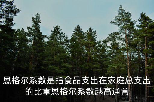 什么是恩格爾系數(shù)法，什么是恩戈爾系數(shù)