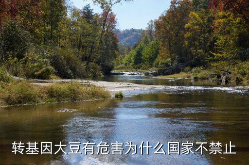 為什么說轉(zhuǎn)基因大豆會致癌，轉(zhuǎn)基因大豆有危害為什么國家不禁止