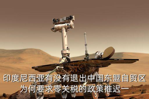 印度尼西亞有沒有退出中國東盟自貿區(qū)為何要求零關稅的政策推遲一